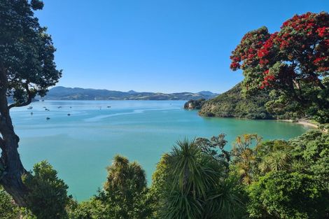Photo of property in 1999 Wyuna Bay Road, Wyuna Bay, Coromandel, 3581