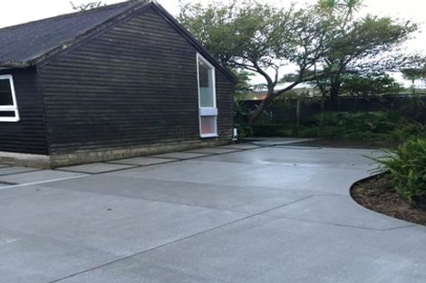 Photo of property in 22 Paramu Avenue, Birkdale, Auckland, 0626