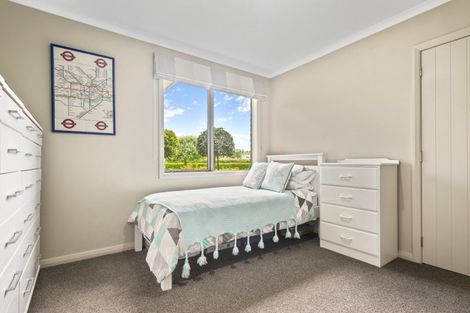 Photo of property in 165 Buckland Road, Matamata, 3472