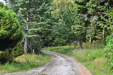 Photo of property in 165 Rahuikiri Road, Tomarata, Wellsford, 0972