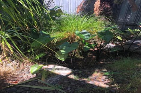 Photo of property in 1 Himikera Avenue, Avondale, Auckland, 1026