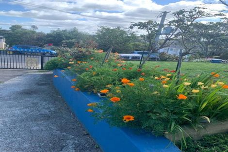 Photo of property in 48 Boyce Avenue, Mount Roskill, Auckland, 1041