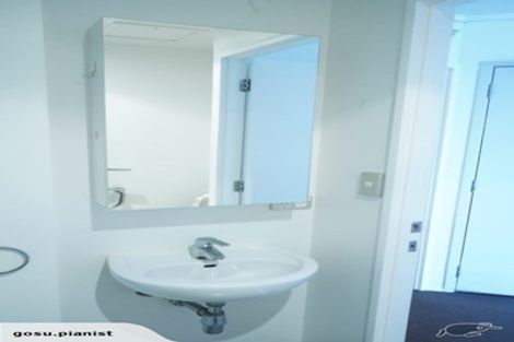 Photo of property in 53 Cook Street, Hamilton East, Hamilton, 3216