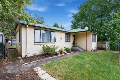 Photo of property in 1/55 Hinemoa Avenue, Taupo, 3330
