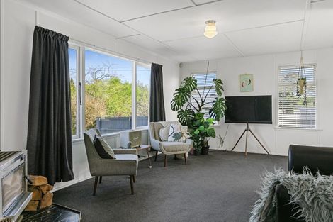Photo of property in 3/46 Scannell Street, Taupo, 3330