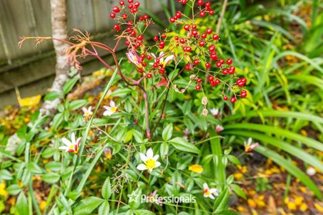 Photo of property in 14 Prouse Grove, Silverstream, Upper Hutt, 5019