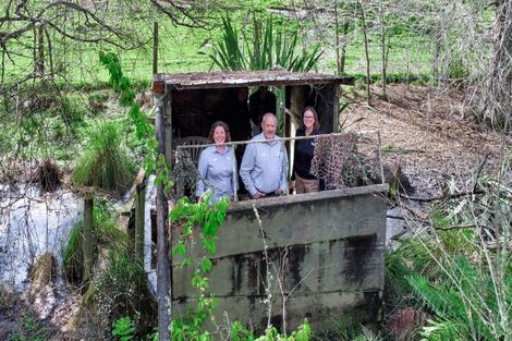 Photo of property in 114 Otumahi Lane, Te Teko, Whakatane, 3192