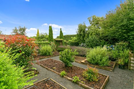 Photo of property in 43 Milton Street, Leamington, Cambridge, 3432