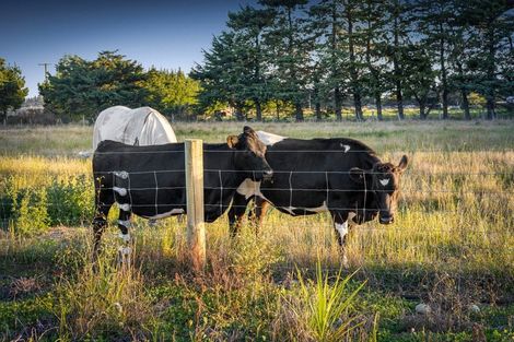 Photo of property in 527 Browns Rock Road, Burnt Hill, Oxford, 7495