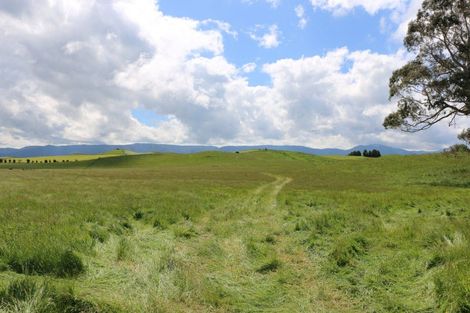 Photo of property in 76956 State Highway 2, Dannevirke, 4977