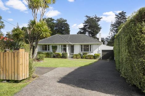 Photo of property in 67 Smythe Road, Henderson, Auckland, 0612