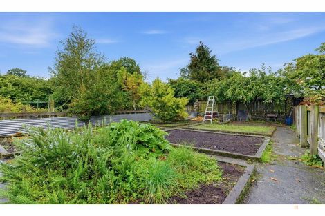 Photo of property in 8 Fergusson Street, Geraldine, 7930