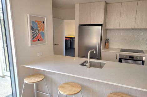 Photo of property in 17e Dickens Street, Addington, Christchurch, 8024