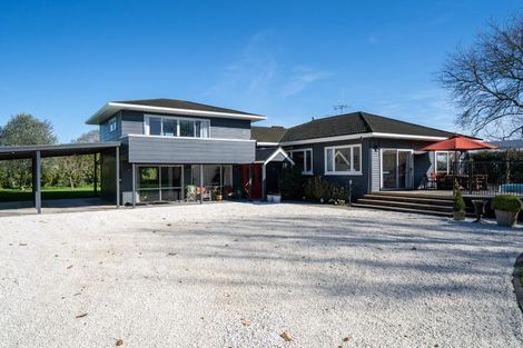 Photo of property in 370 Bellevue Road, Matangi, Cambridge, 3493