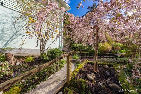 Photo of property in 36 Wyndham Road, Pinehaven, Upper Hutt, 5019