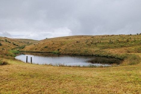 Photo of property in 790 Pungaere Road, Waipapa, 0295