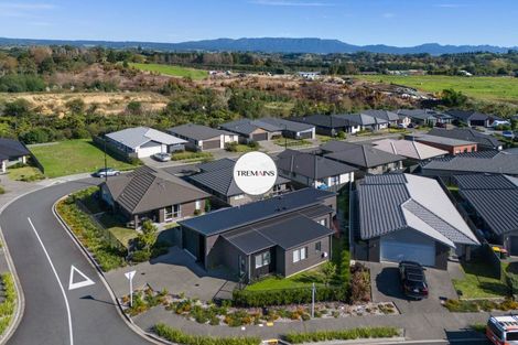 Photo of property in 35 Sentinel Avenue, Omokoroa, 3114