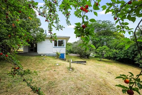 Photo of property in 35 Totara Valley Road, Thames, 3578
