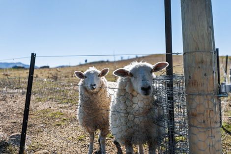 Photo of property in 78 Leaning Rock Road, Springvale, Alexandra, 9393