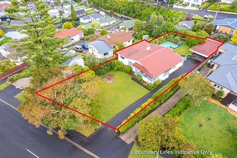Photo of property in 21 Ridout Street, Maeroa, Hamilton, 3200