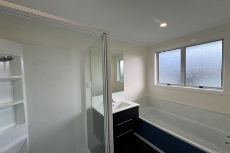 Photo of property in 149 Stanford Street North, Ashhurst, 4810
