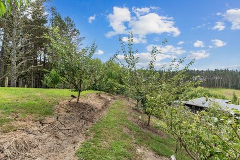 Photo of property in 181 Old Parua Bay Road, Abbey Caves, Whangarei, 0175