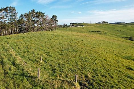 Photo of property in 33 Manurere Rise, Tinopai, 0593