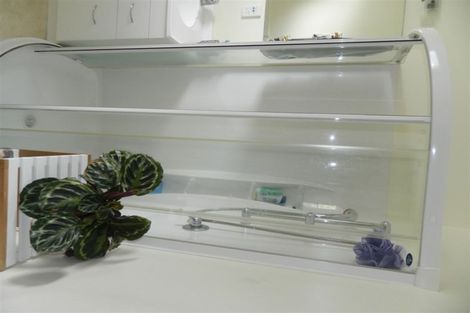 Photo of property in 1/16 Findlater Street, Matamata, 3400