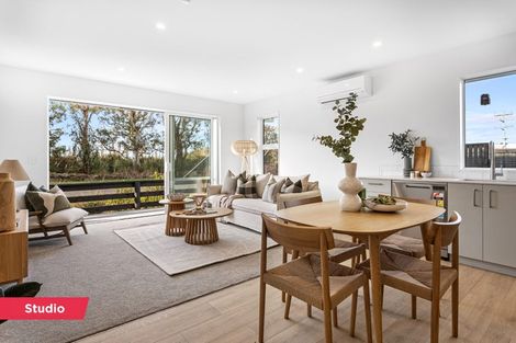 Photo of property in 19 Farmview Lane, Lincoln, 7608