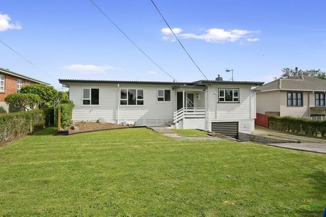 Photo of property in 24 Clothier Street, Putaruru, 3411