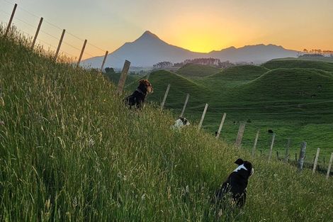 Photo of property in 964 Tarata Road, Kaimata, 4387