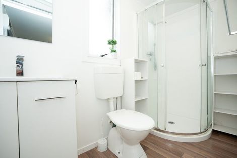 Photo of property in 4 Williams Place, Fairfield, Hamilton, 3214