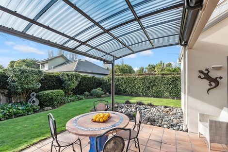 Photo of property in 81 Harrowfield Drive, Harrowfield, Hamilton, 3210