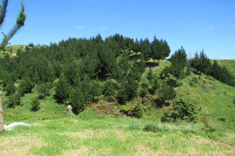 Photo of property in 289 Franklin Road, Paparoa, 0571
