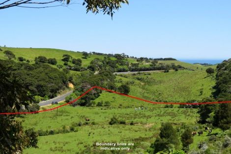 Photo of property in 880 Colville Road, Amodeo Bay, Coromandel, 3584