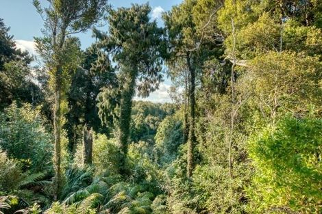 Photo of property in 132 Brickfield Road, Blue Spur, Hokitika, 7882