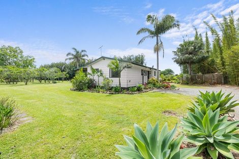 Photo of property in 15 Insley Street, Mangawhai, 0505
