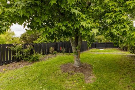 Photo of property in 31 Domain Road, Waipawa, 4210