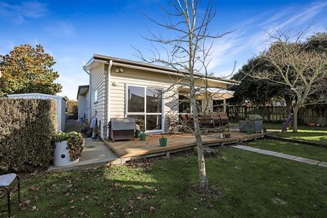 Photo of property in 57 Normanby Street, Rakaia, 7710