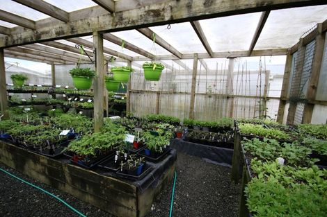 Photo of property in 13 Jellicoe Road, Ruawai, 0530