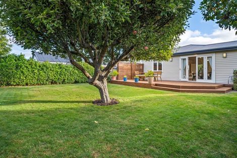 Photo of property in 66 Mahars Road, Mairehau, Christchurch, 8052