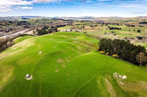 Photo of property in 210 Ongaonga Road, Waipawa, 4272