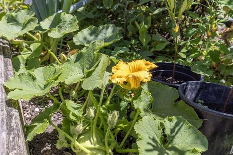 Photo of property in 2 Kanawa Street, Waikanae, 5036