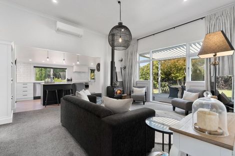 Photo of property in 63 Dublin Street, Martinborough, 5711