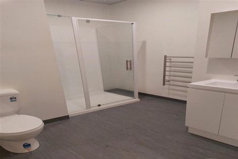 Photo of property in Te Kainga, 195 Willis Street, Te Aro, Wellington, 6011