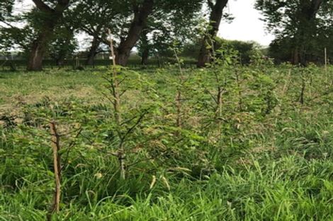 Photo of property in 75 Paetai Road, Ohinewai, Te Kauwhata, 3771