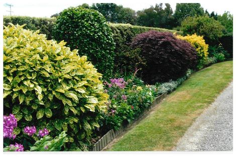 Photo of property in 8 Bowen Street, Woodville, 4920