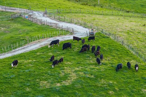 Photo of property in 272 Huarau Road, Whakapirau, Maungaturoto, 0583