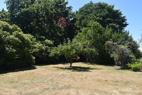 Photo of property in 247 Belvedere Road, Carterton, 5713