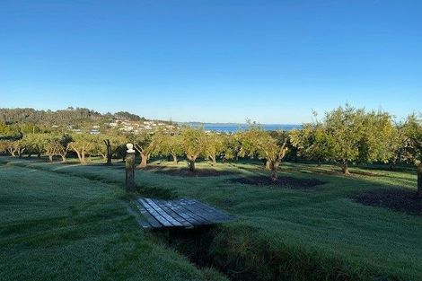 Photo of property in 478 Hihi Road, Hihi, Mangonui, 0494